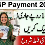 Good News! BISP April 2026 Payment of Rs 14,500 Started – Check Your Qist Now via 8171