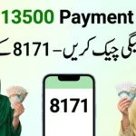 BISP 13500 Payment Check 2026 – 8171 Online CNIC Verification