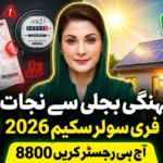 CM Punjab Free Solar Panel Scheme 2026 – Apply via 8800 Before It’s Too Late!