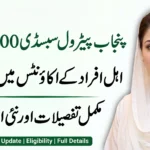 Punjab Petrol Subsidy Rs 2000 Released: Eligible Accounts Receive Latest Payment Update