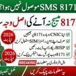 8171 SMS Not Received? Here’s the Latest BISP Solution Every Applicant Should Know