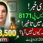 BISP Payment Delay May 2026 – Why Your 8171 Payment Is Not Received Yet? Full Details Inside