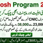 Punjab Aghosh Program CNIC Check Online 2026 – Instantly Verify Your Payment Status