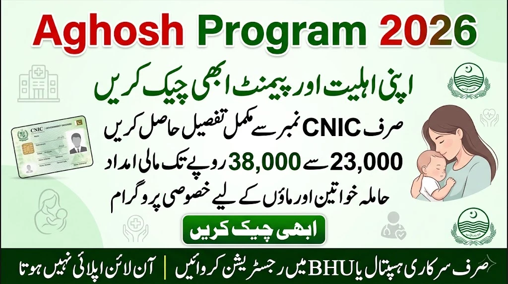 Punjab Aghosh Program CNIC Check Online 2026 – Instantly Verify Your Payment Status