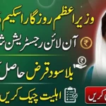 PM Rozgar Scheme 2026 – Apply Online Now & Get Interest Free Loan in Pakistan