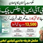 BISP Check Balance Online by CNIC 2026 – New 8171 Payment Verification Method