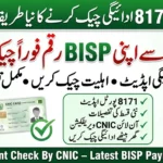 8171 Payment Check by CNIC: New BISP Payment Update Brings Good News for Beneficiaries