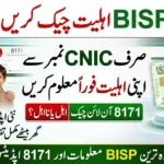 Checking BISP Eligibility from Home 2026: Ghar Bethay Sirf CNIC Se Apni Ahliyat Foran Check Karein